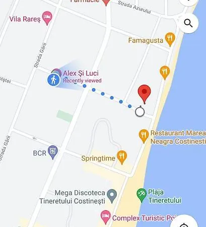 Vila Alex & Luci קוסטינסטי